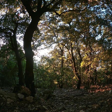 Appartamento A Pula In Zona Residenziale エクステリア 写真