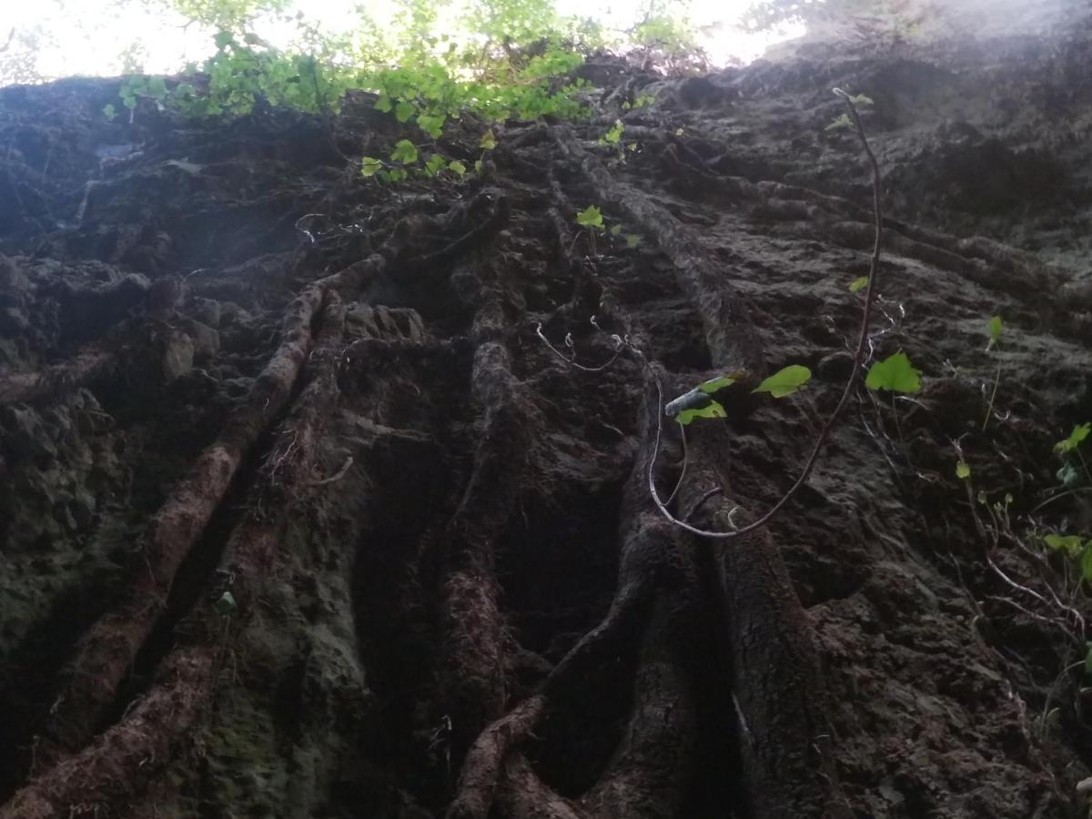 Appartamento A Pula In Zona Residenziale エクステリア 写真