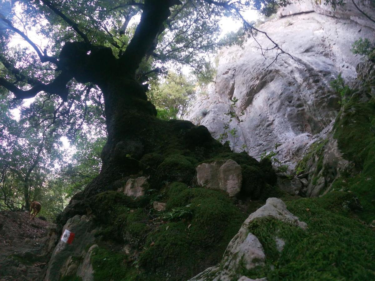 Appartamento A Pula In Zona Residenziale エクステリア 写真